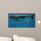 Whale Shark Wall Decal