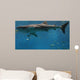 Whale Shark Wall Decal
