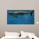 Whale Shark Wall Decal