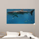 Whale Shark Wall Decal