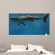 Whale Shark Wall Decal