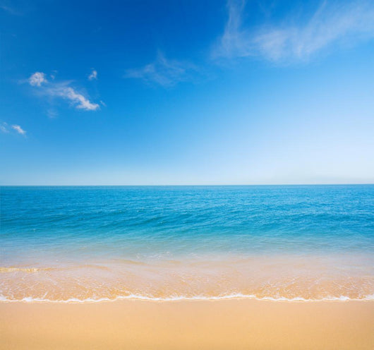 Beach and Tropical Sea