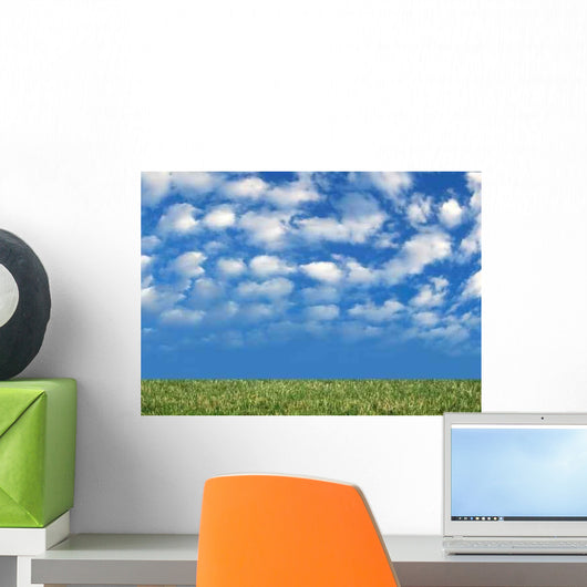 Grass and Nice Blue Wall Decal