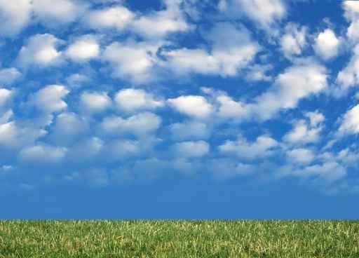Grass and Nice Blue Wall Decal
