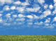 Grass and Nice Blue Wall Decal