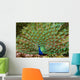 Peacocks Spain Wall Mural