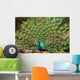 Peacocks Spain Wall Mural