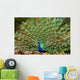 Peacocks Spain Wall Mural