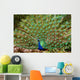Peacocks Spain Wall Mural