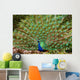 Peacocks Spain Wall Mural