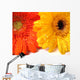 waterdrops on flowers Wall Mural