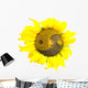 Yin-Yang Sunflower Wall Decal