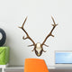 antlers of a huge stag, mounted on a wooden plate Wall Decal