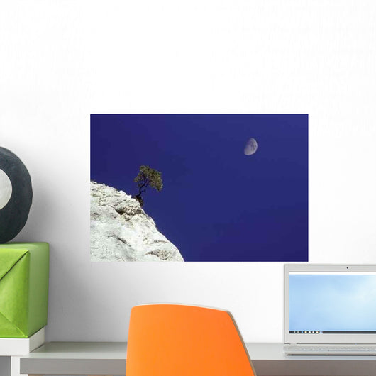 Leccio E Luna Wall Decal