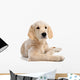 Puppy Golden Retriever Wall Decal