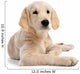 Puppy Golden Retriever Wall Decal