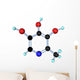 Molecule Vitamin B6 Wall Decal