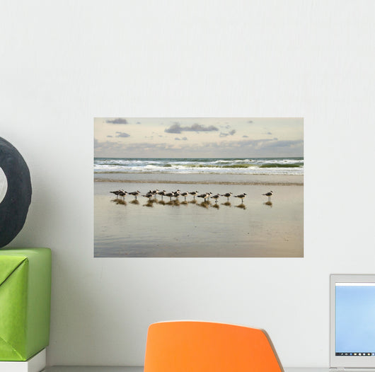 morning gulls Wall Mural