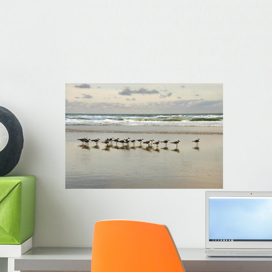 morning gulls Wall Mural