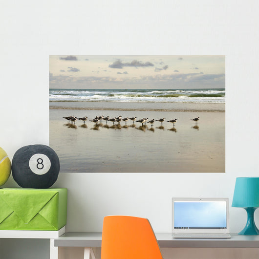 morning gulls Wall Mural