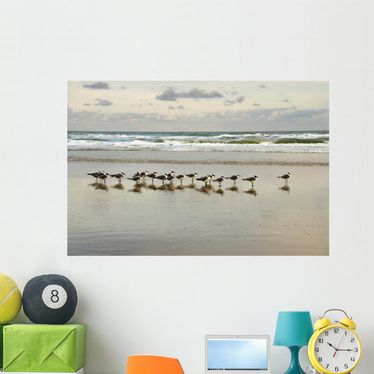 morning gulls Wall Mural