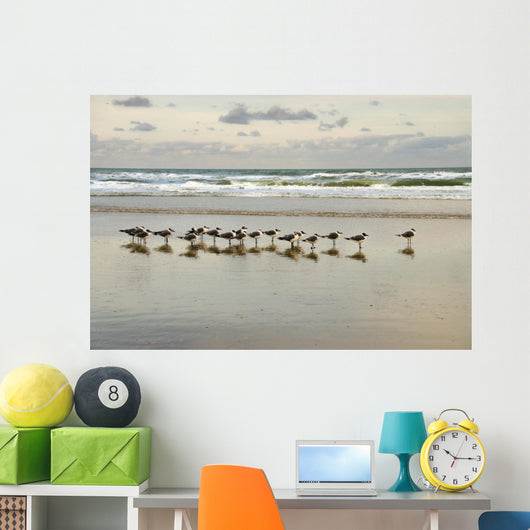 morning gulls Wall Mural