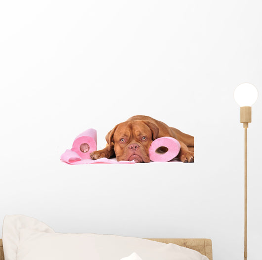 Puppy with two rolls of toilet paper Wall Decal