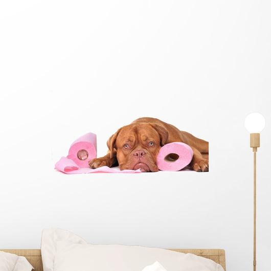 Puppy with two rolls of toilet paper Wall Decal