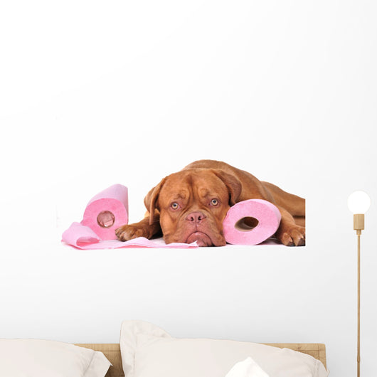 Puppy with two rolls of toilet paper Wall Decal