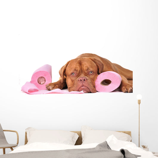 Puppy with two rolls of toilet paper Wall Decal