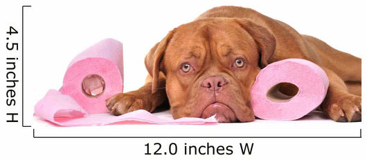 Puppy with two rolls of toilet paper Wall Decal