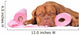 Puppy with two rolls of toilet paper Wall Decal