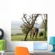 Elephants Wall Mural