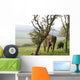 Elephants Wall Mural