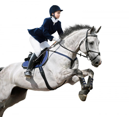 Equestrian Jumper Wall Decal