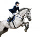 Equestrian Jumper Wall Decal