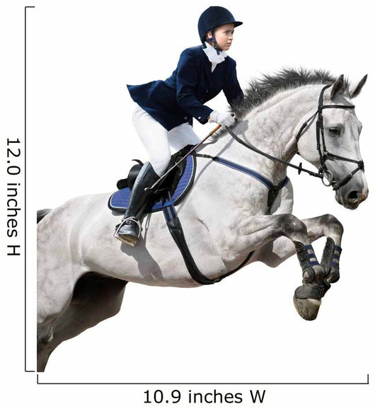 Equestrian Jumper Wall Decal