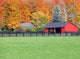 Stables Fall Wall Mural