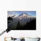 Mt Hood