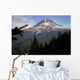 Mt Hood