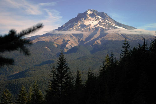 Mt Hood