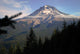 Mt Hood