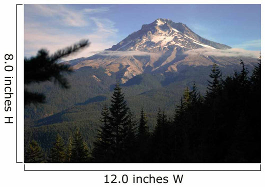 Mt Hood