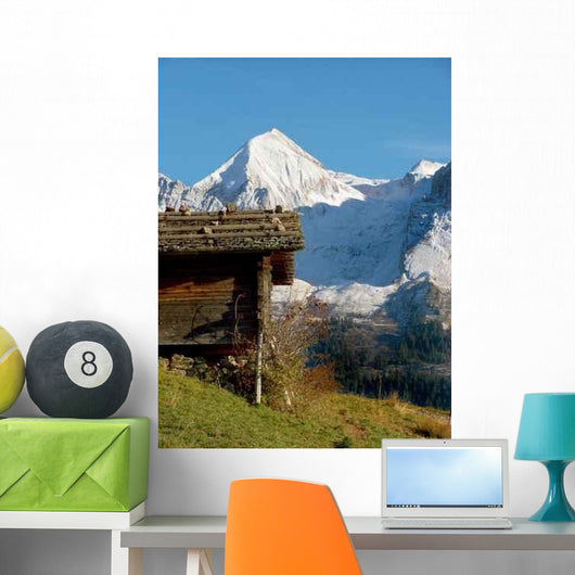Mont 100 3036 Wall Decal