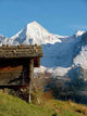 Mont 100 3036 Wall Decal