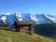 Mont 100 3037 Wall Decal