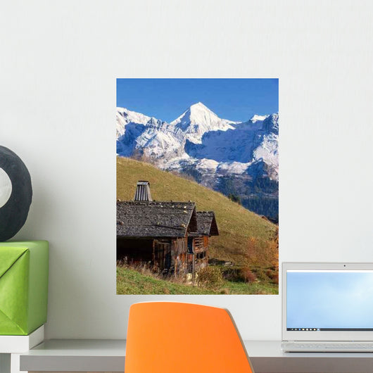 Mont 100 3043 Wall Decal