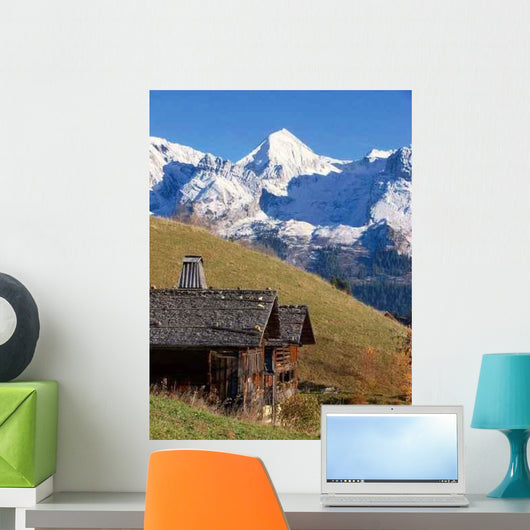 Mont 100 3043 Wall Decal