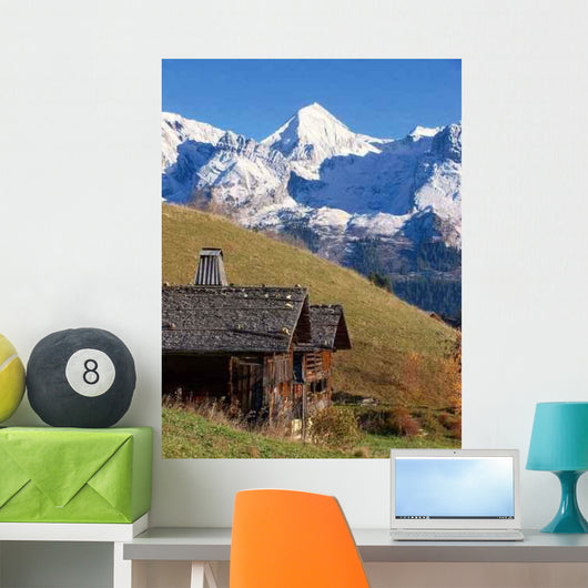 Mont 100 3043 Wall Decal