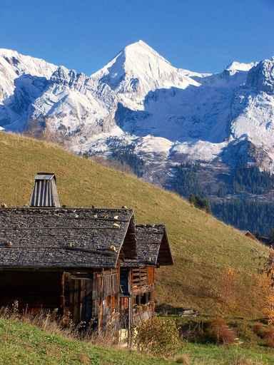 Mont 100 3043 Wall Decal